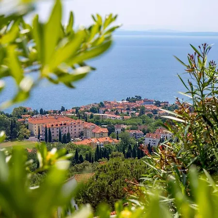 Apartman Mare *